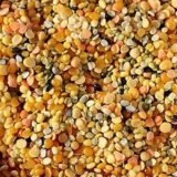 Sangam Mix Dal 1Kg