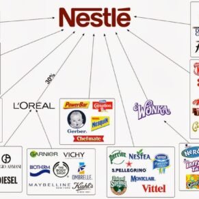 Nestle Koko Krunch Whole Grain Choco