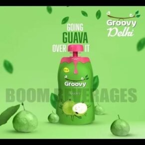 Groovy Guava Fruit Drink 125Ml