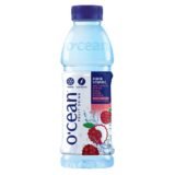 Ocean Lychee Fruit Drink 500Ml
