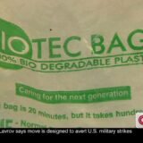 Biotec Bags 24*30