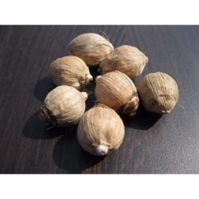 Nariyal Gath 1Pcs