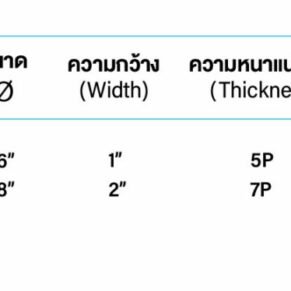 Scotch Brite Professional 10Cm*15Cm