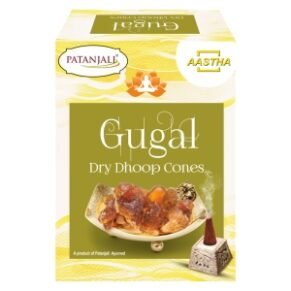 Ptg Aastha Gugal Dry Dhoop Cones 20G