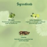 Biotique Bhringraj Anti Hair Fall Hair Oil 120Ml